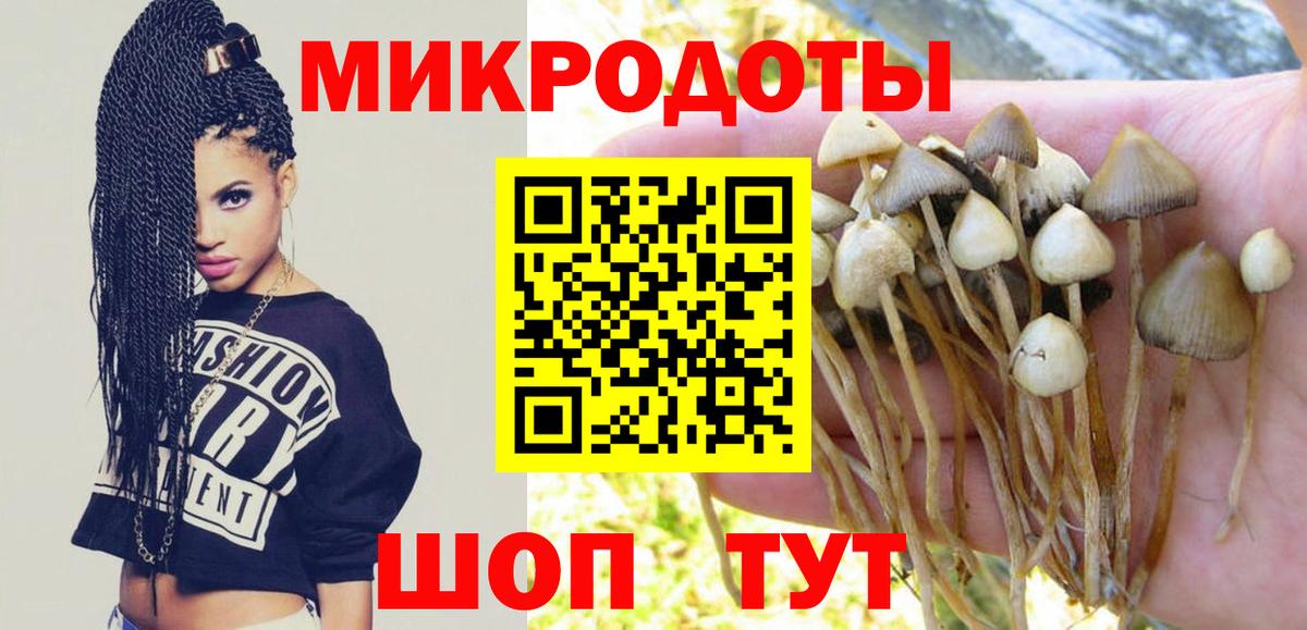 Псилоцибиновые грибы мухоморы Сорочинск