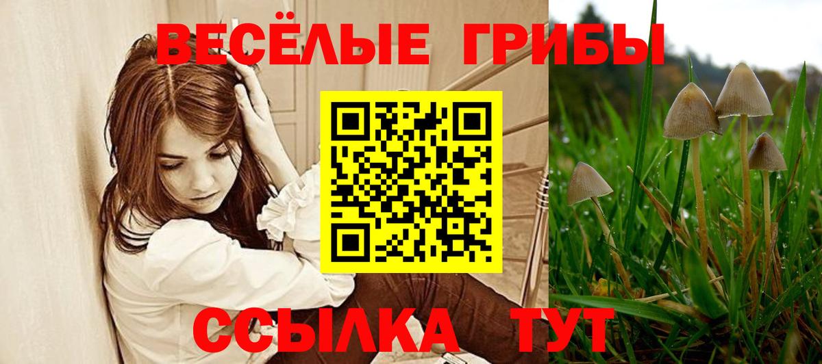 Сорочинск  Псилоцибиновые грибы Magic Shrooms  Галлюциногенные грибы GOLDEN TEACHER  Вход с VPN 